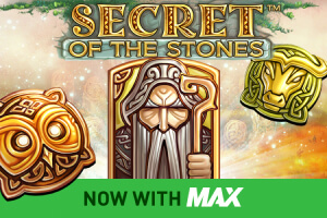 Secret of the Stones game icon